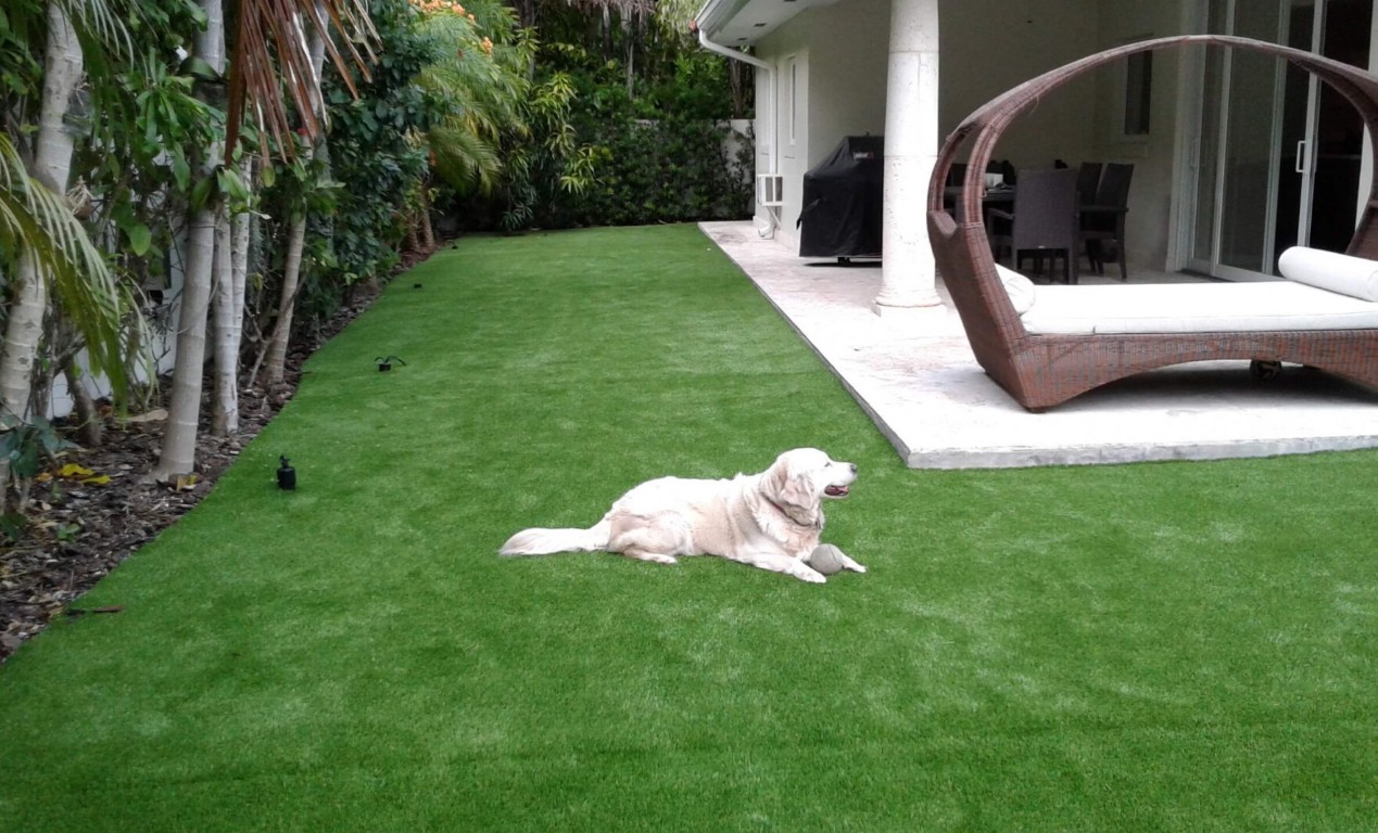 Dog enjoying pet-safe artificial turf in Peoria, IL backyard